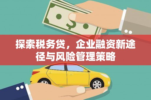 台安探索税务贷，企业融资新途径与风险管理策略