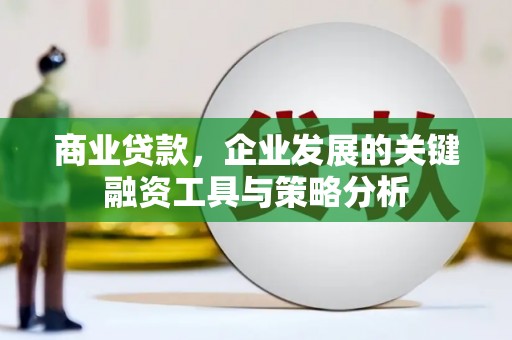 台安商业贷款，企业发展的关键融资工具与策略分析