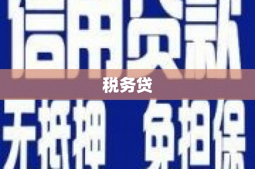台安税务贷