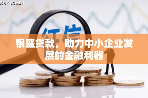 台安银盛贷款，助力中小企业发展的金融利器