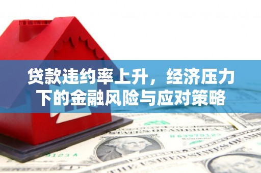 台安贷款违约率上升，经济压力下的金融风险与应对策略