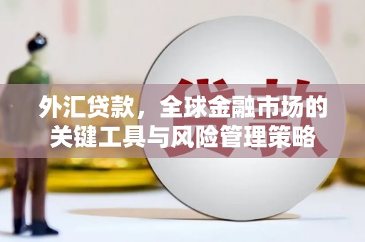 台安外汇贷款，全球金融市场的关键工具与风险管理策略
