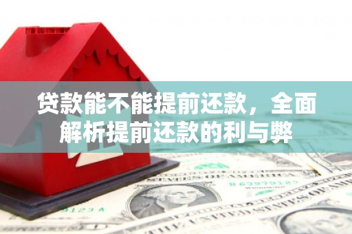 台安贷款能不能提前还款，全面解析提前还款的利与弊