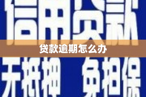 台安贷款逾期怎么办