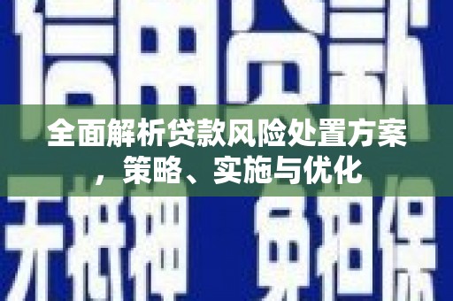 台安全面解析贷款风险处置方案，策略、实施与优化