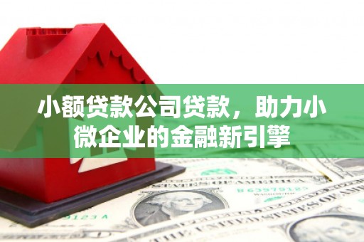 台安小额贷款公司贷款，助力小微企业的金融新引擎
