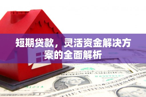 台安短期贷款，灵活资金解决方案的全面解析