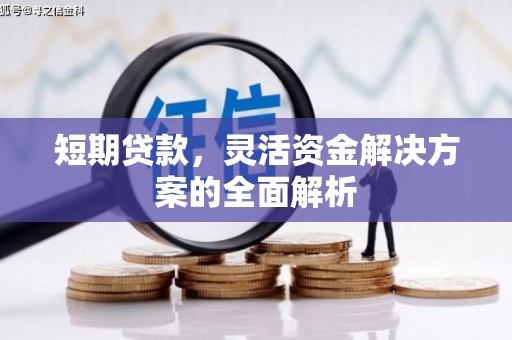 台安短期贷款，灵活资金解决方案的全面解析