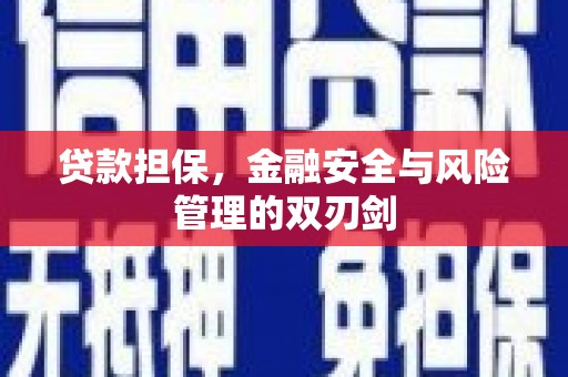台安贷款担保，金融安全与风险管理的双刃剑
