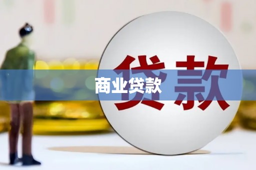 台安商业贷款
