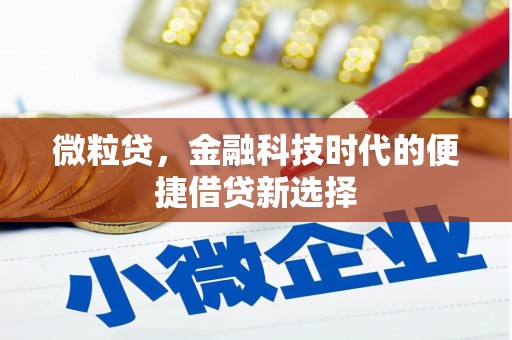 台安微粒贷，金融科技时代的便捷借贷新选择