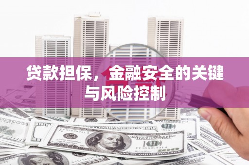 台安贷款担保，金融安全的关键与风险控制