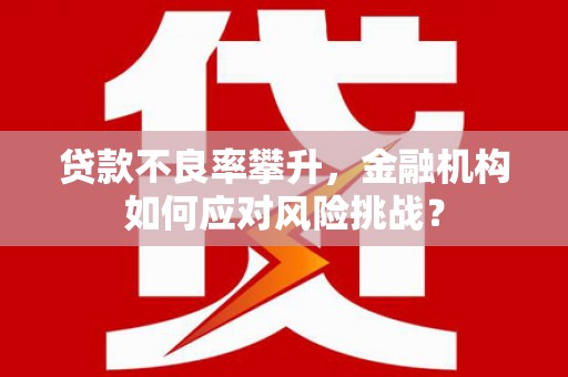 台安贷款不良率攀升，金融机构如何应对风险挑战？