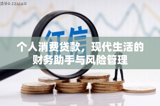 台安个人消费贷款，现代生活的财务助手与风险管理