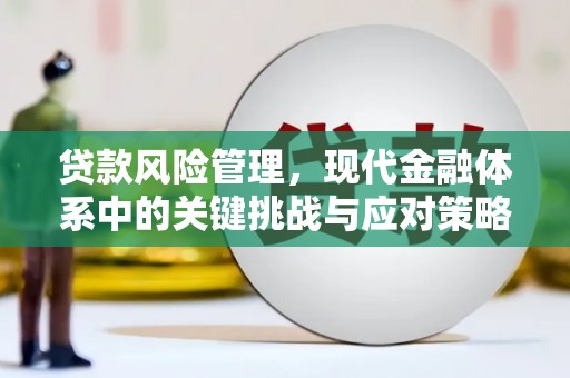 台安贷款风险管理，现代金融体系中的关键挑战与应对策略