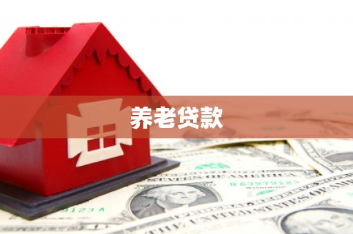 台安养老贷款