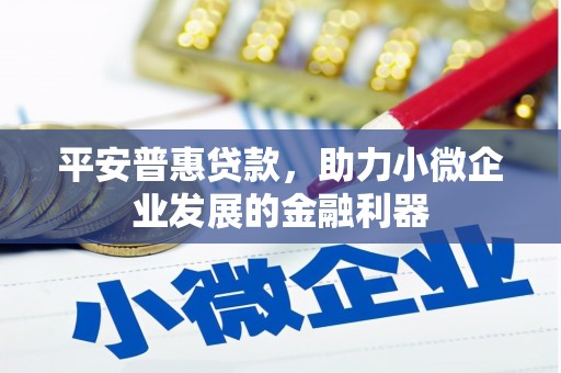 台安平安普惠贷款，助力小微企业发展的金融利器