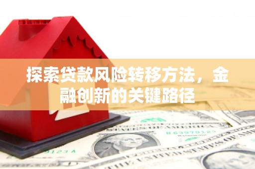 台安探索贷款风险转移方法，金融创新的关键路径