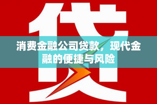 台安消费金融公司贷款，现代金融的便捷与风险