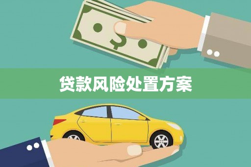 台安贷款风险处置方案